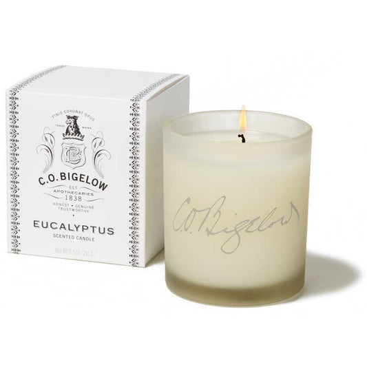 Eucalyptus Candle - Edwina Alexis