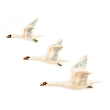 Load image into Gallery viewer, Flying Swan Wall Trio - Edwina Alexis