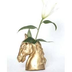 Gold Horsehead Vase - Edwina Alexis